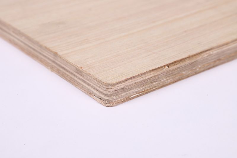 B1 Plywood e Lekanyeditšwego Mollo