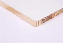 4x8 Mollo Rated Plywood